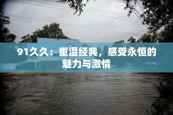 91久久：重温经典，感受永恒的魅力与激情