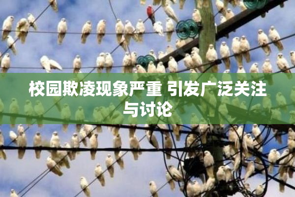 校园欺凌现象严重 引发广泛关注与讨论