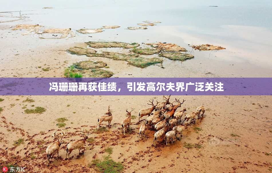 冯珊珊再获佳绩，引发高尔夫界广泛关注