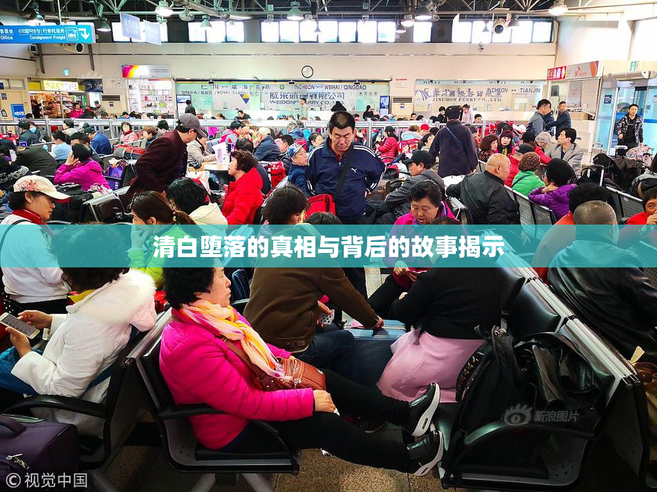 清白堕落的真相与背后的故事揭示
