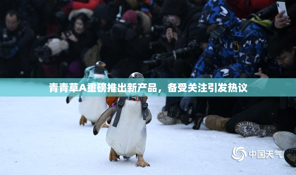 青青草A重磅推出新产品，备受关注引发热议