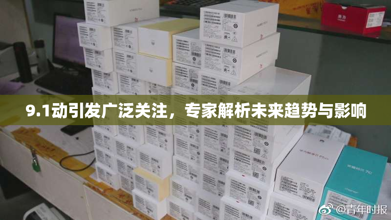 9.1动引发广泛关注，专家解析未来趋势与影响