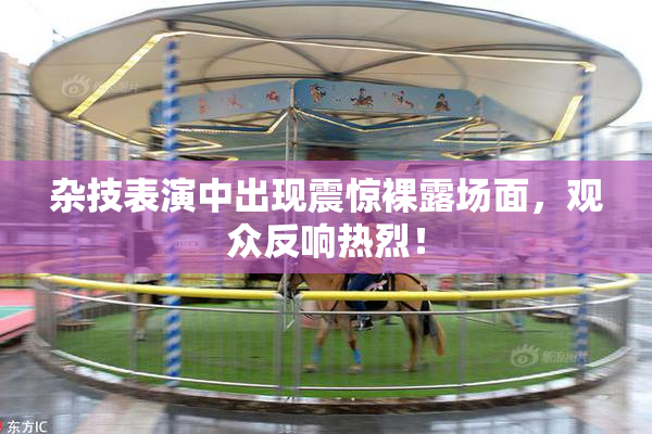 杂技表演中出现震惊裸露场面，观众反响热烈！