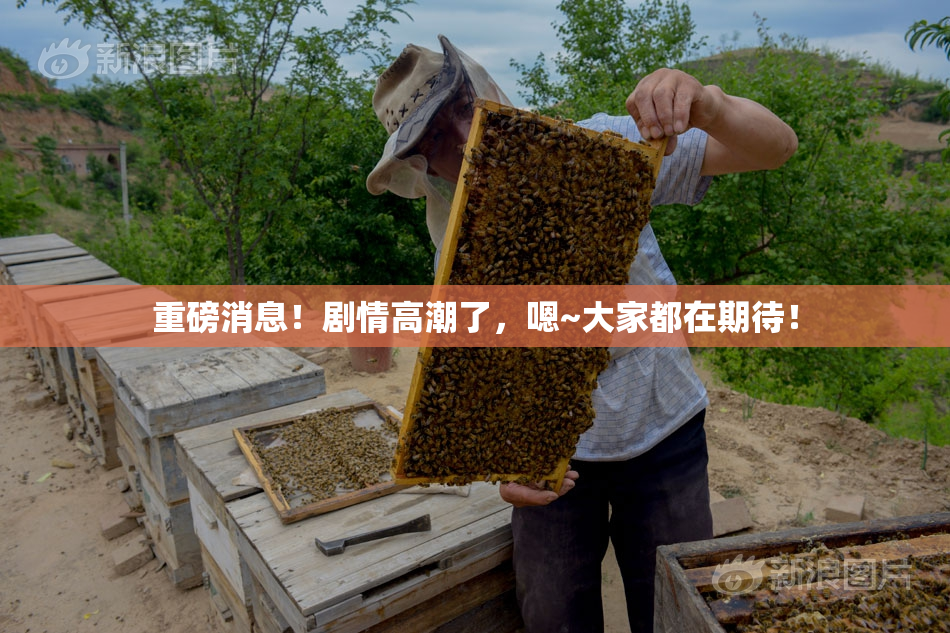 重磅消息！剧情高潮了，嗯~大家都在期待！
