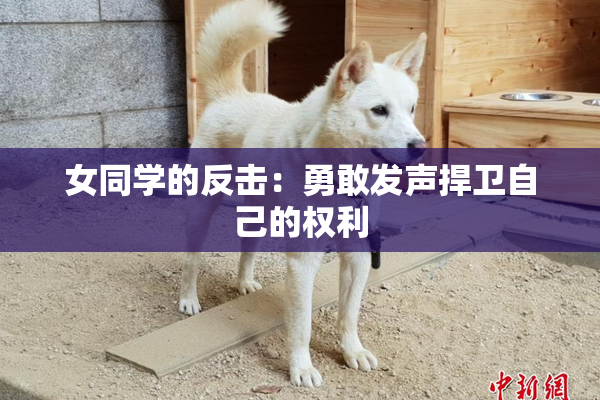 女同学的反击：勇敢发声捍卫自己的权利