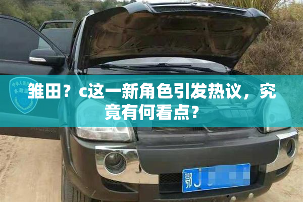 雏田？c这一新角色引发热议，究竟有何看点？