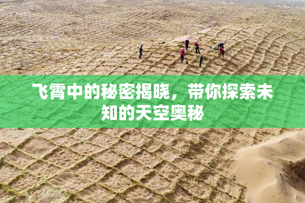 飞霄中的秘密揭晓，带你探索未知的天空奥秘