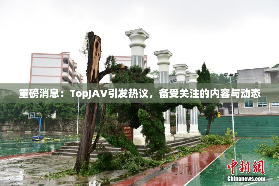 重磅消息：TopJAV引发热议，备受关注的内容与动态