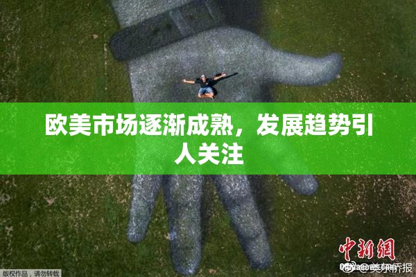 欧美市场逐渐成熟，发展趋势引人关注