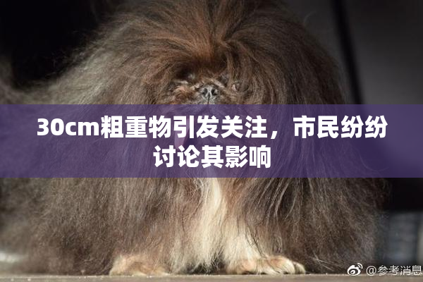 30cm粗重物引发关注，市民纷纷讨论其影响