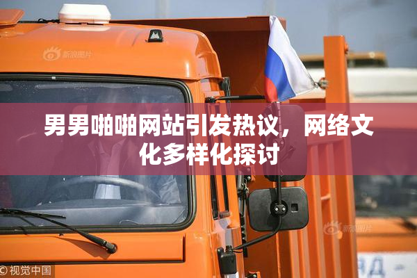 男男啪啪网站引发热议，网络文化多样化探讨