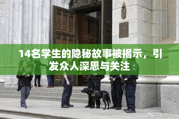 14名学生的隐秘故事被揭示，引发众人深思与关注
