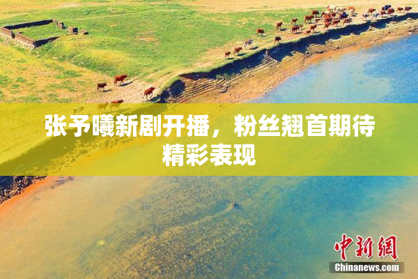 张予曦新剧开播，粉丝翘首期待精彩表现