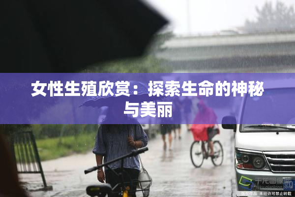 女性生殖欣赏：探索生命的神秘与美丽