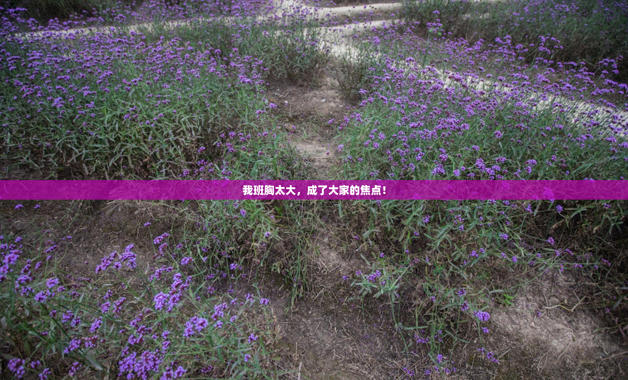 我班胸太大，成了大家的焦点！