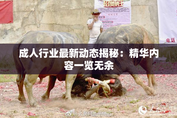 成人行业最新动态揭秘：精华内容一览无余