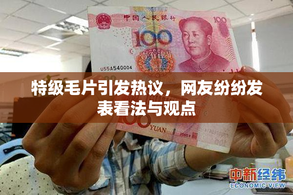 特级毛片引发热议，网友纷纷发表看法与观点