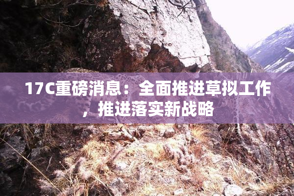 17C重磅消息：全面推进草拟工作，推进落实新战略