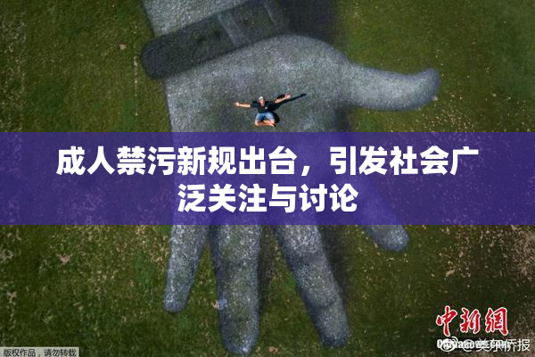 成人禁污新规出台，引发社会广泛关注与讨论
