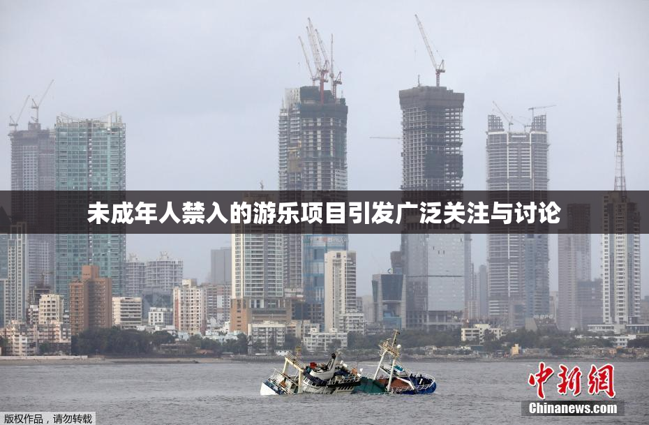 未成年人禁入的游乐项目引发广泛关注与讨论
