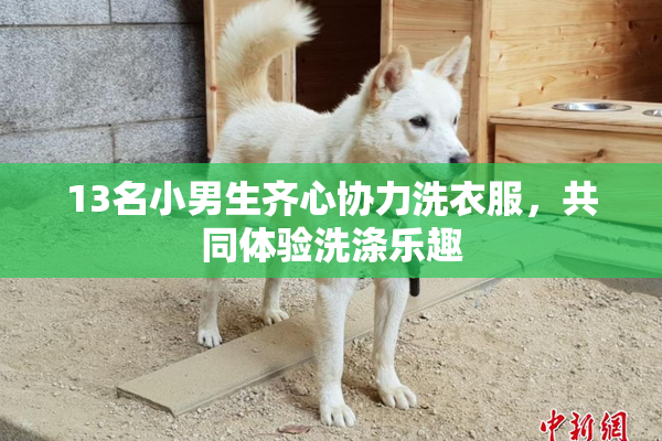 13名小男生齐心协力洗衣服，共同体验洗涤乐趣