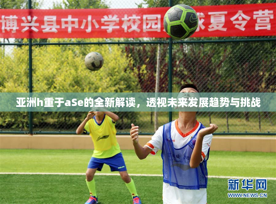 亚洲h重于aSe的全新解读，透视未来发展趋势与挑战