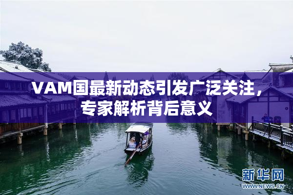 VAM国最新动态引发广泛关注，专家解析背后意义