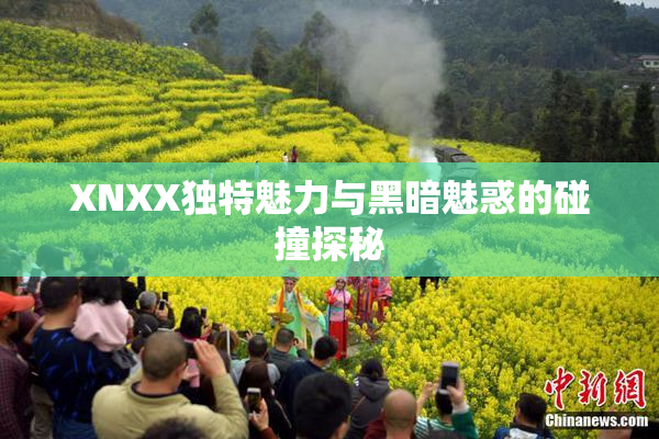 XNXX独特魅力与黑暗魅惑的碰撞探秘