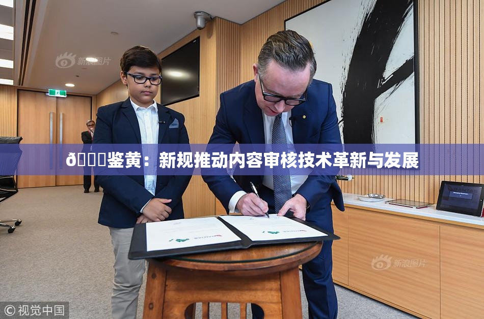 🔞鉴黄：新规推动内容审核技术革新与发展