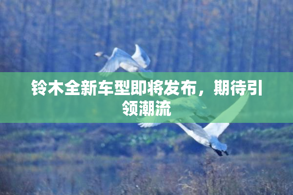 铃木全新车型即将发布，期待引领潮流