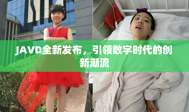 JAVD全新发布，引领数字时代的创新潮流