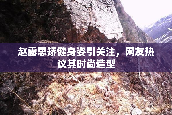 赵露思矫健身姿引关注，网友热议其时尚造型