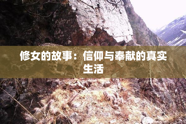 修女的故事：信仰与奉献的真实生活