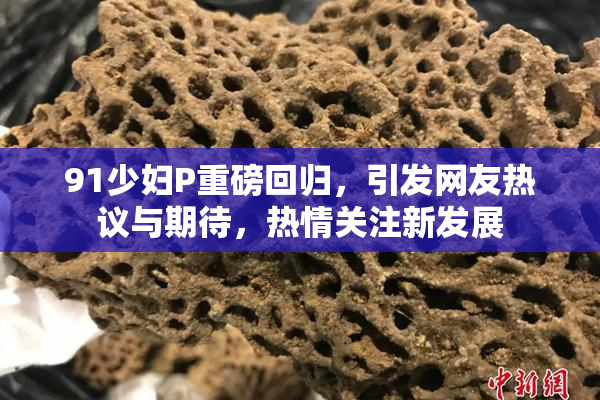 91少妇P重磅回归，引发网友热议与期待，热情关注新发展