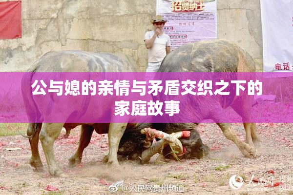 公与媳的亲情与矛盾交织之下的家庭故事