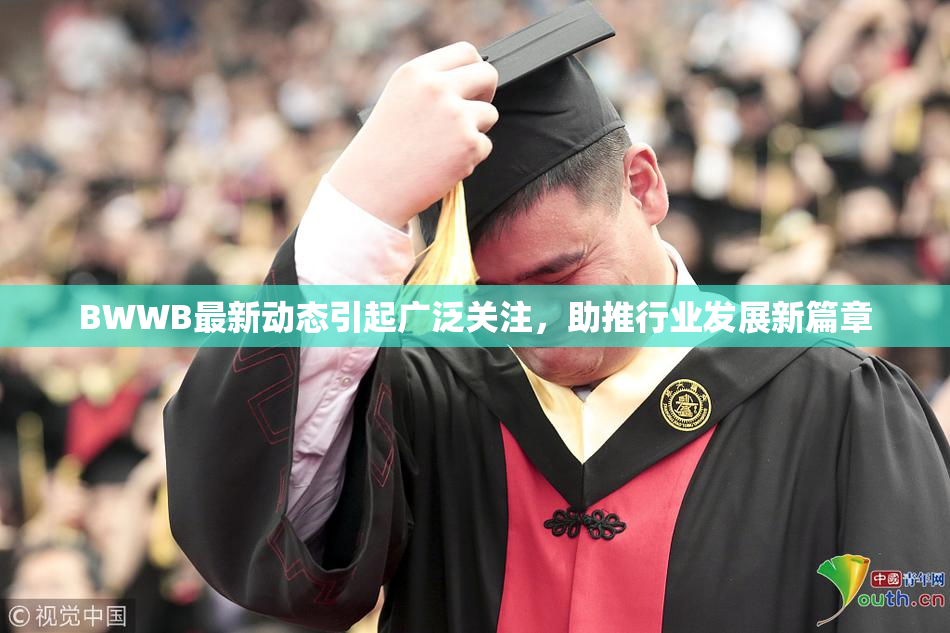 BWWB最新动态引起广泛关注，助推行业发展新篇章