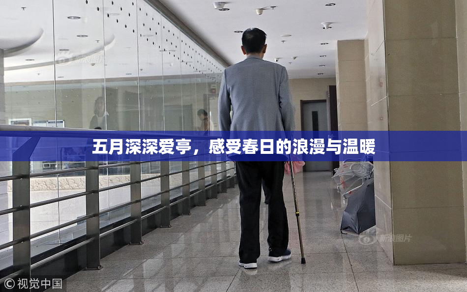 五月深深爱亭，感受春日的浪漫与温暖
