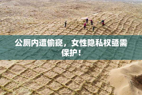 公厕内遭偷窥，女性隐私权亟需保护！