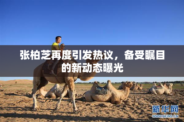 张柏芝再度引发热议，备受瞩目的新动态曝光