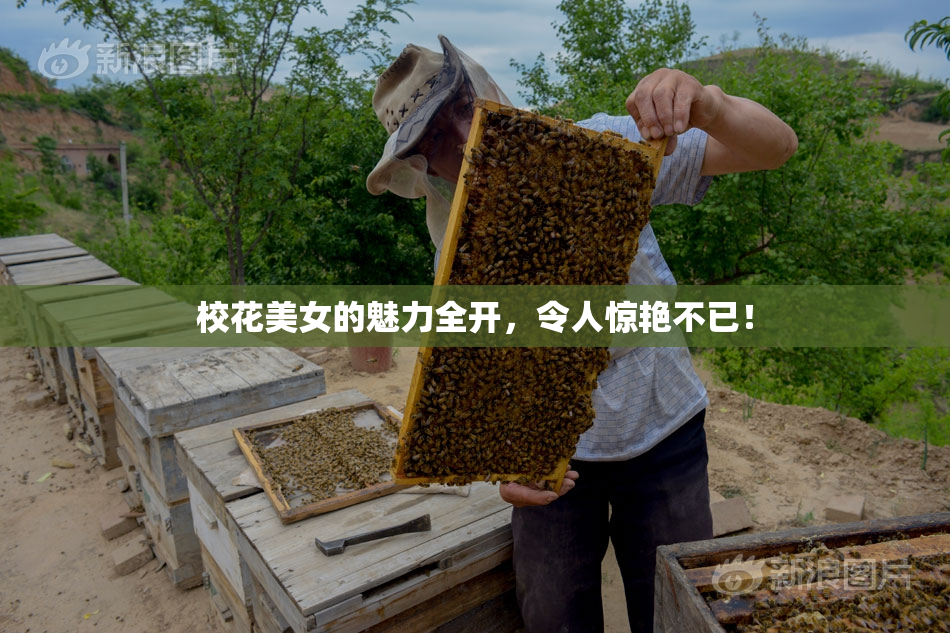 校花美女的魅力全开，令人惊艳不已！