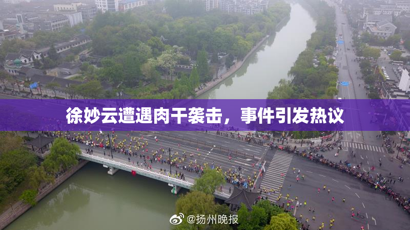 徐妙云遭遇肉干袭击，事件引发热议