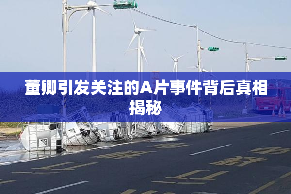 董卿引发关注的A片事件背后真相揭秘