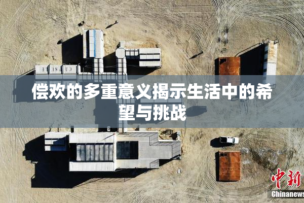 偿欢的多重意义揭示生活中的希望与挑战