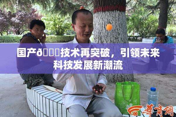 国产🔞技术再突破，引领未来科技发展新潮流