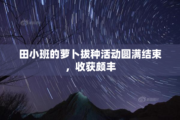 田小班的萝卜拔种活动圆满结束，收获颇丰