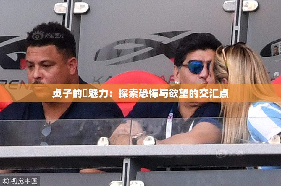 贞子的婬魅力：探索恐怖与欲望的交汇点
