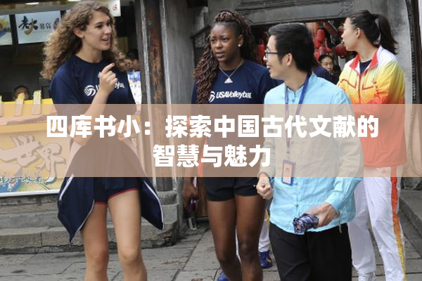 四库书小：探索中国古代文献的智慧与魅力