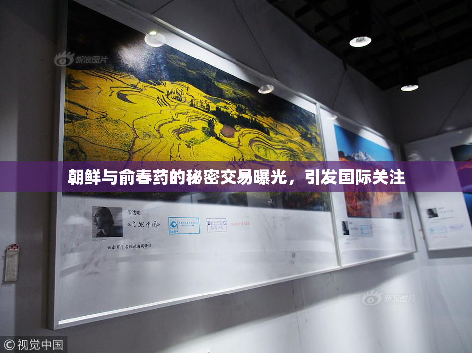 朝鲜与俞春药的秘密交易曝光，引发国际关注