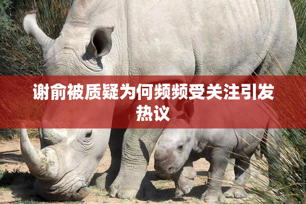谢俞被质疑为何频频受关注引发热议
