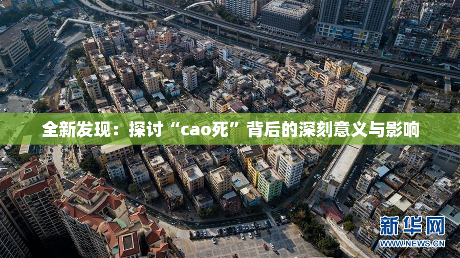 全新发现：探讨“cao死”背后的深刻意义与影响